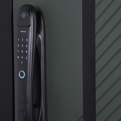 Стальная дверь   Лион (биометрический замок Smart lock DZ 888). Заказная модель.