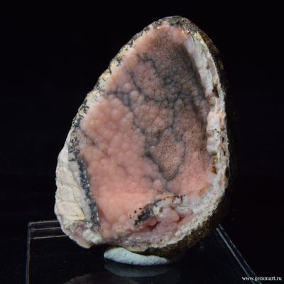 Родохрозит  в полости ракушки. 58*47*23мм