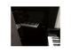 Винный шкаф Eurocave V-Revel-L Сплошная дверь Black Piano, Максимальная комплектация, поддоны - светлое дерево