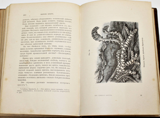 Кайгородов Д. Из зеленого царства. Популярные очерки из мира растений. СПб.: Издание А.С.Суворина, 1892.
