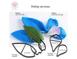 Набор вайнеров и каттеров "Эустома "