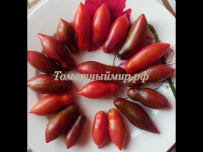 Томат Гном Анто-розовая пантера, (Dwarf Antho Pink Panther ) США