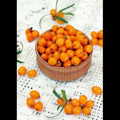 D0569 Облепиха