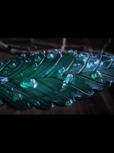 &quot;Наблюдающий лист&quot;, необычная брошь в стиле фэнтези