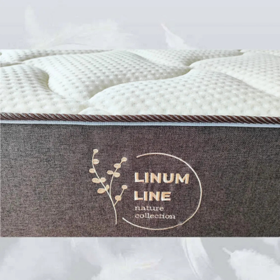 Матрас "Вивьен 500" (АСМ)