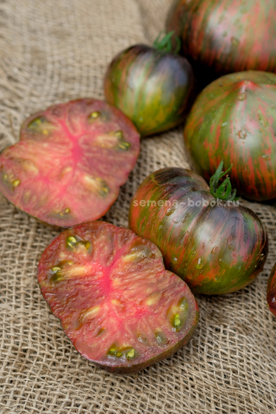 Томат Триумф Софии, 10 шт