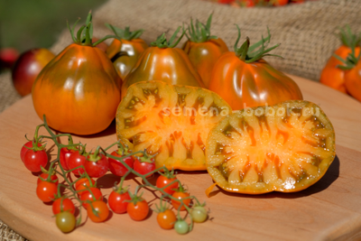 Томат Ярсон 13 (Охровая груша), 10 шт