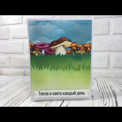 ФП штамп "Боровички"