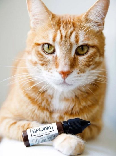 Веснушка - пигмент для татуажа Брови PMU, 10мл