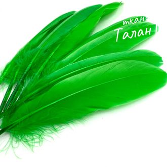 Перо Гусиное, цв. Ярко-зеленый