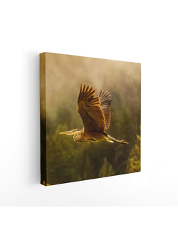 Печатная картина на деревянном подрамнике, 30*30 см. "Полет ястреба"