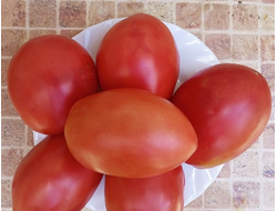 Томат Минусинские бычки