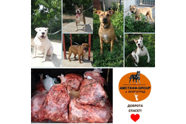 05.07.21 мы передали мясовкусности от нас с вами подопечным приюта АМСТАФФ-GROUP. За период с 18.04 по 05.07 сумма по благотворительным купонам составила 5888 руб. Благодарим всех, кто принимает участие в акции! 