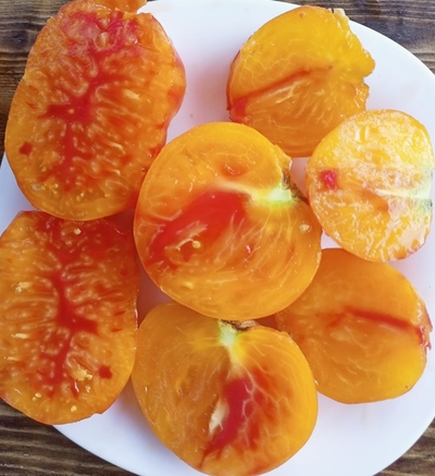 Томат Радужный сердцевидный джаз (Rainbow jazz heart)