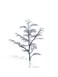 Billboards Дерево зимнее_07