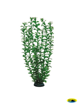 Ар1180 4689Р Растен. пласт.46см. зелен. людвигия