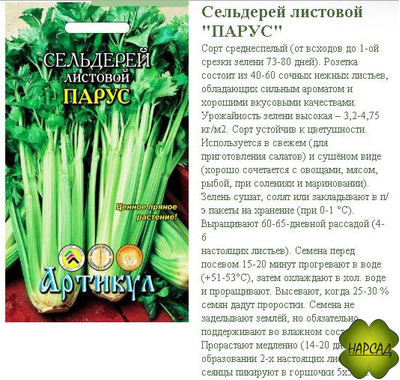 СЕЛЬДЕРЕЙ ЧЕРЕШКОВЫЙ И ЛИСТОВОЙ "ПАРУС"