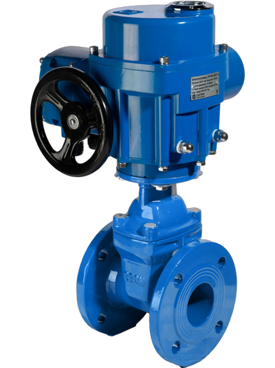 Задвижка чугунная с обрезиненным клином RSV61 DN65 PN10/16 с электроприводом 220В