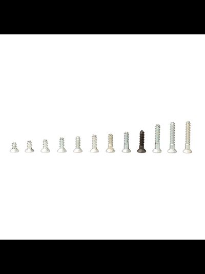 Винты для креплений 100 шт. 5,5x18mm (SNOLI skibinding screw 5,5x18mm, 100 pcs.)