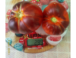 Томат Синий Том (Blue Tom)