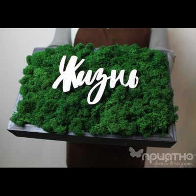 ЖИВАЯ ЭКО-КАРТИНА 1054