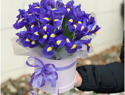 Ирисы В Шляпной Коробке