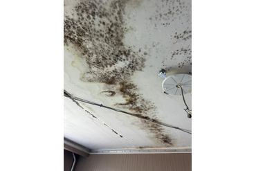 Обработка после затопления квартиры