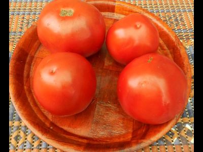 Томат Минусинские яблочные
