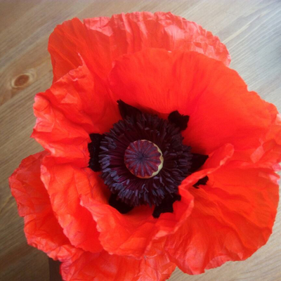 "Лепесток мака" Силиконовый молд (вайнер)