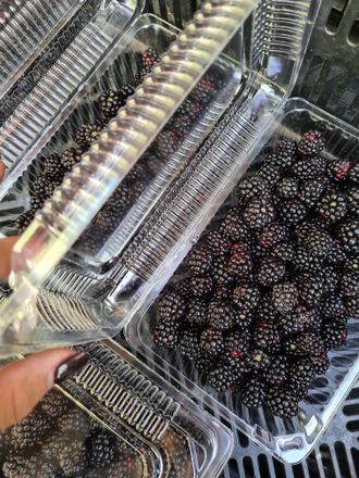 Ежевика свежая, 1л