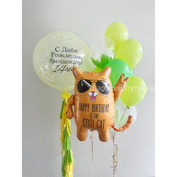 Набор "Крутой кот" (баблс)