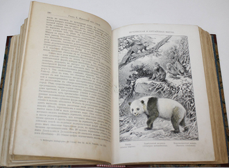 Кобельт В. Географическое распределение животных в холодном и умеренном поясах северного полушария. СПб.: Изд. А.Ф. Девриена, 1903.