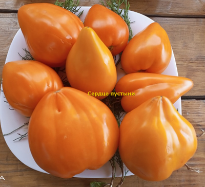 Томат Сердце пустыни