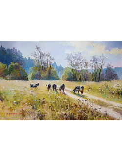 Коровы на пастбище