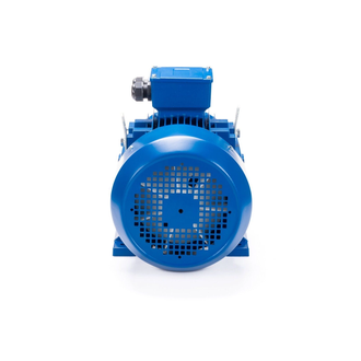 Электродвигатель АИС 160L4 (15 кВт) IM B3