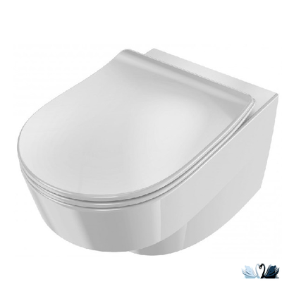 Унитаз Jacob Delafon Odeon Rive Gauche EDR102-00, подвесной, белый