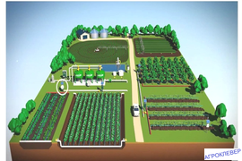 Проектирование системы полива "под ключ"