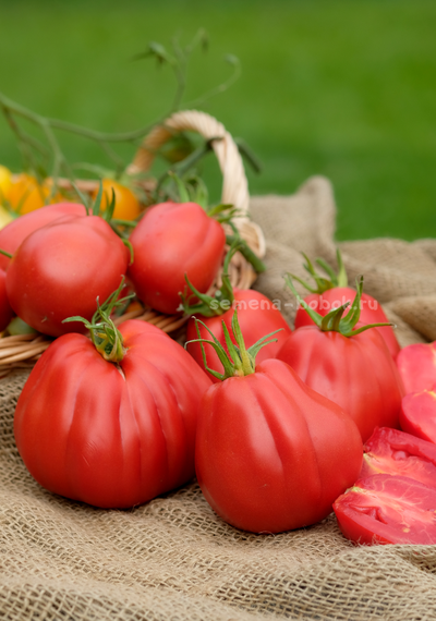 Томат Тюрбан Магриба, 10 шт