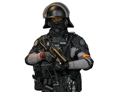 ФРАНЦУЗСКИЙ СПЕЦНАЗОВЕЦ GIPN - КОЛЛЕКЦИОННАЯ ФИГУРКА 1/6 SCALE FRENCH NATIONAL POLICE GIPN IN MARSEILLE (78076) - DAMTOYS