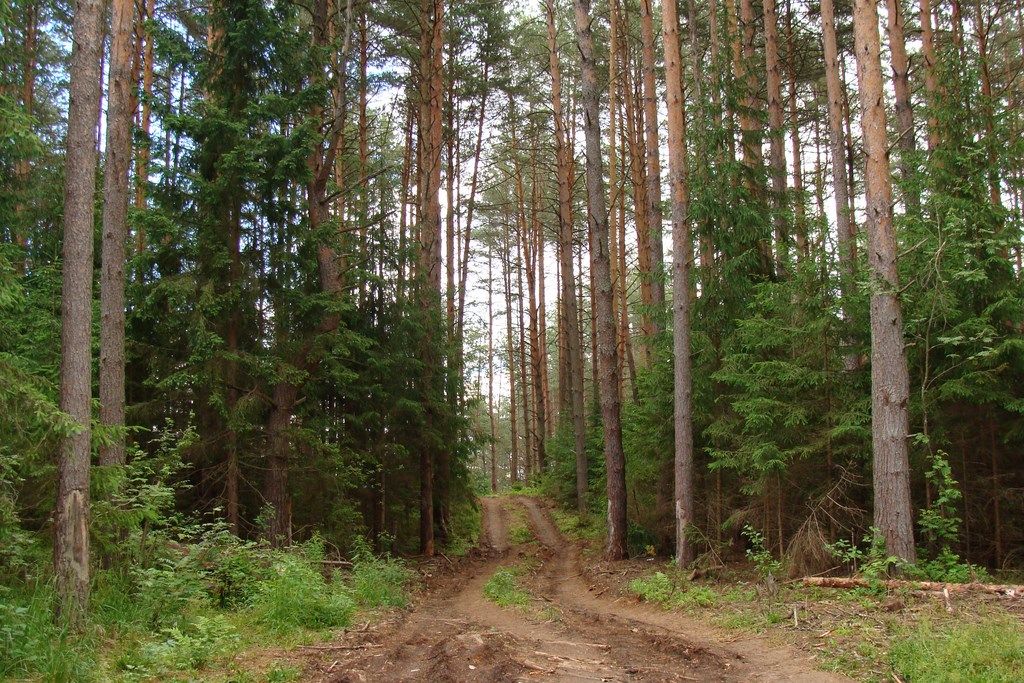Участок на берегу волги