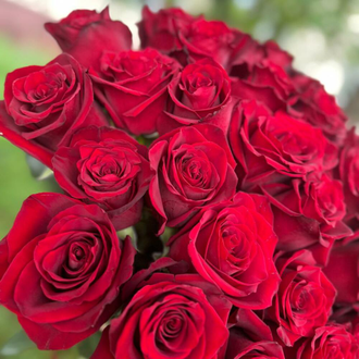 25 красных роз