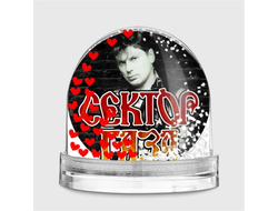 Водяной шар Сектор Газа, Юрий Хой №22