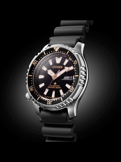 Наручные часы Citizen NY0160-66E