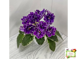 ВаТ-Крайслер (Т. Валькова) трейлер