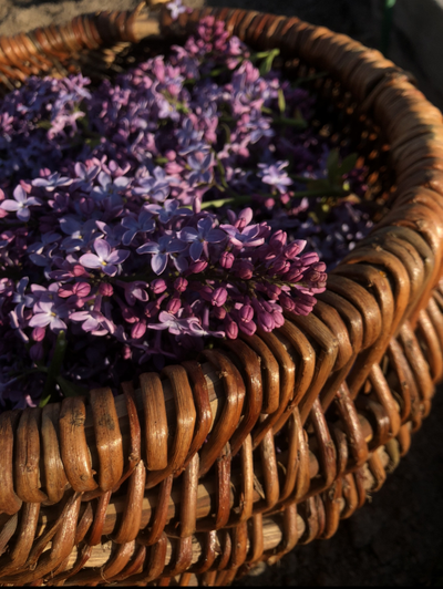 Гидролат Сирени