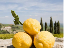 Лимон (Citrus limon) Сицилия, 5 мл - 100% натуральное эфирное масло