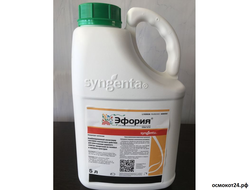 Эфория, КС (от 50мл до 5л)