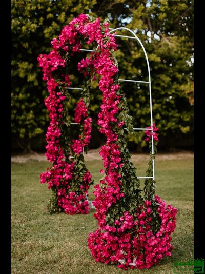 Арки садовые,арки в аренду,арки металлические,арка садовая купить,растения для садовой арки