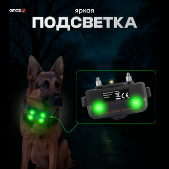 ЭЛЕКТРОННЫЙ ОШЕЙНИК ДЛЯ СОБАК DT2200