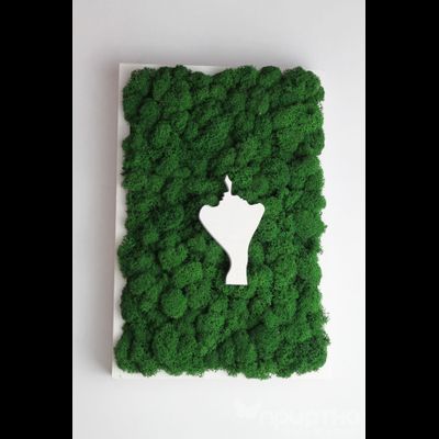 ЖИВАЯ ЭКО-КАРТИНА 1029